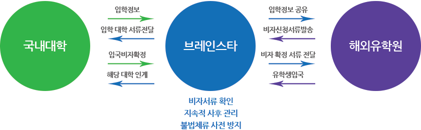 브레인스타 인터내셔널